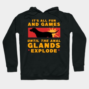 It's All Fun And Games Until The Anal Glands Explode Hoodie